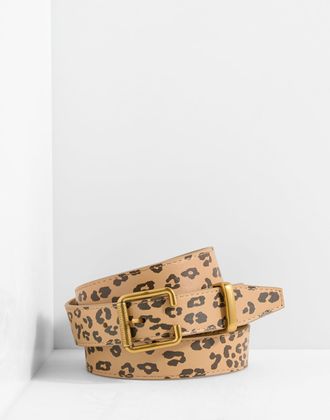 Talbots Leather Belt - Modern Leopard - Brown - Medium Talbots