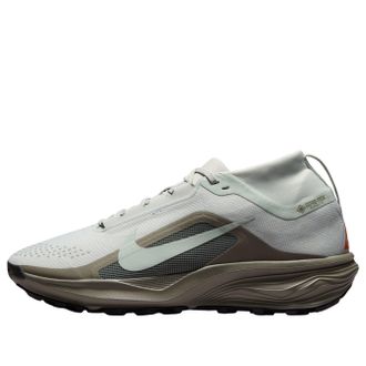 Nike x ACG Pegasus Trail Gore Tex Light Silver Army IQ1084-003