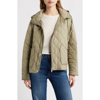 Bernardo Diamond Quilted Jacket with Removable Hood in Olive Stone at Nordstrom, Size Xx-Large