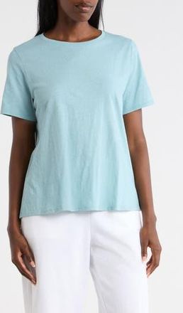 Eileen Fisher Crewneck Short Sleeve Organic Cotton T-Shirt in Seafoam at Nordstrom Rack, Size Xx-Small