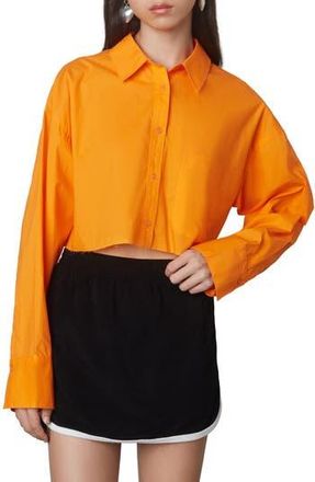 Nia Austin Cotton Button-Up Shirt in Tangerine at Nordstrom Rack, Size X-Small