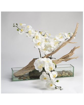 D&W Silks Inc White Phael Orchids With Ghostwood In Rectangle Aquarium Glass