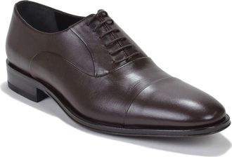 Bruno Magli Maioco Cap Toe Oxford in Dark Brown Leather at Nordstrom, Size 10.5