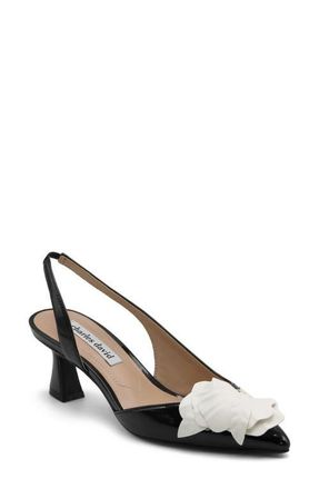 Charles by Charles David Alias Slingback Half dOrsay Pointed Toe Pump in Black-White at Nordstrom, Size 7