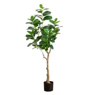 Nearly Natural 4-ft Artificial Audrey Ficus Tree in Green at Nordstrom
