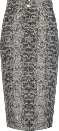 Elisabetta Franchi Viscose Kokerrok - Dames - Kokerrokken - Grijs - M - Satijn - Rokken