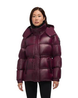 Pajar Halo Puffer with Removable Hood in Mulberry at Nordstrom, Size X-Small