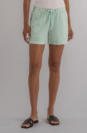 Kut from the Kloth Katana Drawstring Linen Blend Shorts in Seafoam Green at Nordstrom, Size X-Large