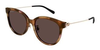 Gucci GG1883SK Asian Fit 004 Womens Sunglasses Tortoiseshell Size 56