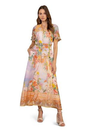 Hale Bob Cyrilla Linen Organza Maxi Dress in Gold at Nordstrom, Size Small