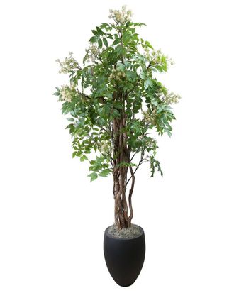 Creative Displays Inc. Bloom Lacquer Tree In Fiberstone Pot