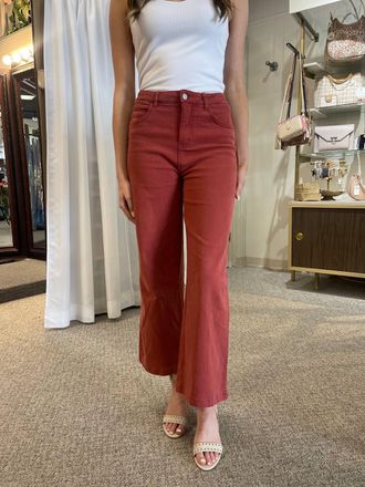 Entro Wide Leg Pants In Rust