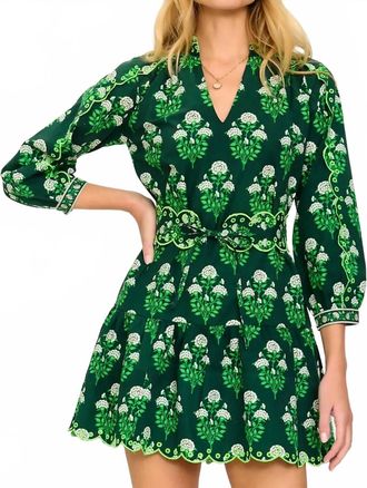 PINK CITY PRINTS Mika Mini Dress In Green