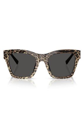 Dolce & Gabbana 53mm Square Sunglasses in Leo Brown On Black /Dark Grey at Nordstrom