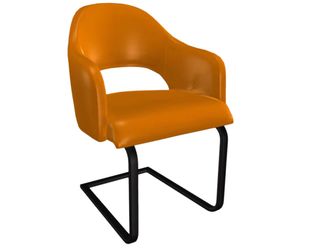 Schubiger M&ouml;bel Freischwinger Salesa