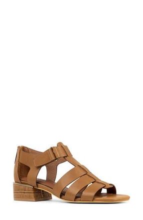 Donald J Pliner Falesia Block Heel Fisherman Sandal in Saddle at Nordstrom Rack, Size 9.5