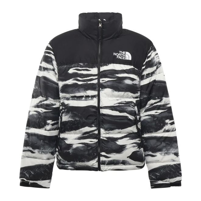 Winter Jackets, male, Multicolor, S, 1996 Retro Nuptse Printed Jacket