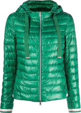Herno hooded quilted jacket - women - Polyamide/Cotton/Polyamide/Goose Down/Polyester - 42 - Green