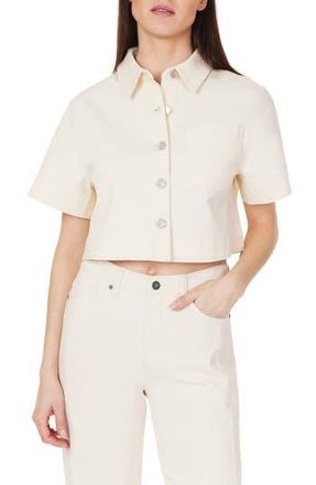 Habitual Crop Stretch Cotton Shacket in Stone at Nordstrom Rack, Size X-Small