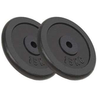 vidaXL Discos De Pesas De Hierro Fundido 2 Uds 2x15 Kg Vidaxl