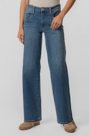 Kut from the Kloth Jodi High Waist Straight Leg Jeans in Amusement at Nordstrom, Size 10