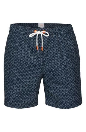 Swims Pesce Swim Trunks in Navy at Nordstrom, Size X-Large