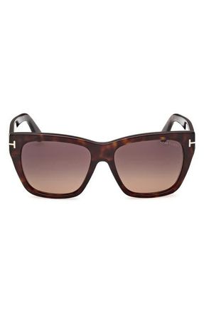 Tom Ford Flynn 55mm Gradient Butterfly Sunglasses in Shiny Classic Dark Havana /t/Logo /Gradient Plum To Sand Lens at Nordstrom