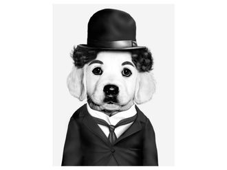 Schubiger M&ouml;bel Digitaldruck auf Glas Stummfilm Star