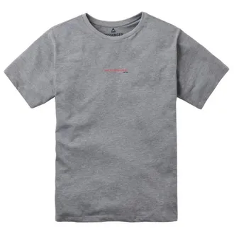 Passenger Horizons Recycled Cotton T-Shirt T-Shirt f&uuml;r Herren | grau