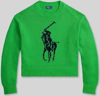 Polo Ralph Lauren Regular Fit Strickpullover aus reiner Baumwolle in Gruen, Gr&ouml;&szlig;e XXL