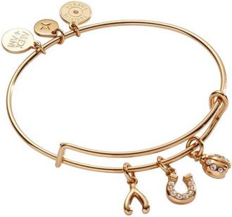 Alex and Ani Love and Luck Multi Charm Bangle Bracelet in Gold at Nordstrom, Size Small/medium