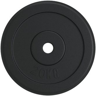 vidaXL Disco per Pesi 20 kg in Ghisa - Vidaxl