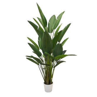 Schubiger M&ouml;bel Kunstpflanze Strelitzie H: 245 cm