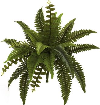 Nearly Natural 14-in Boston Fern Artificial Plant in Green at Nordstrom