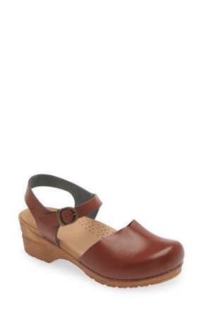 Sanita Sansi Clog in Chestnut at Nordstrom, Size 6Us