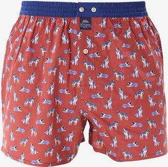 MC Alson Boxershorts aus Baumwolle Saint Bernards