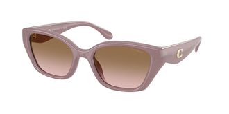 Coach HC8434U CBY91 549511 Womens Sunglasses Brown Size 53