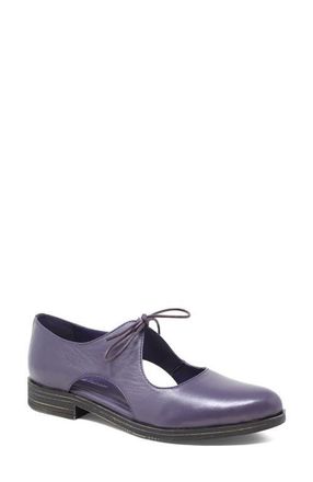 Django & Juliette Keeria Low Lace Flat in Aubergine-Black Leather at Nordstrom, Size 38