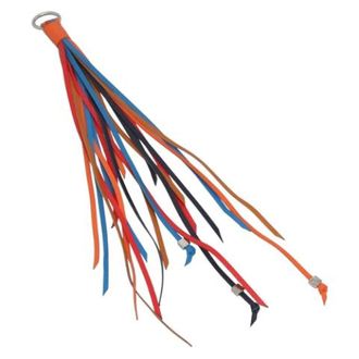 Loewe Pre-owned Accessories, female, Multicolor, Size: ONE SIZE Pre-owned Leather Key Holder