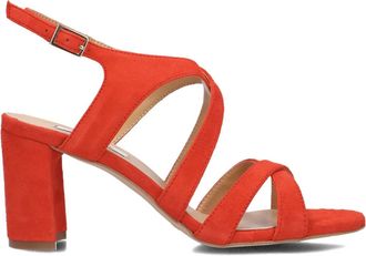 Notre-V Schoenen, Dames, Rood, 36 EU, Leer, Elegante Sandalen