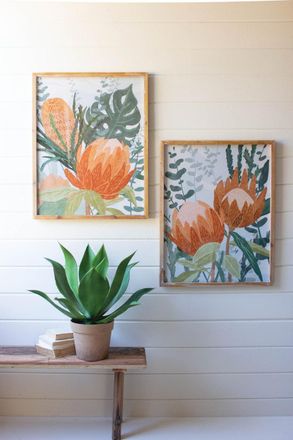 Kalalou Set Of Two Framed Prints Under Glass - Protea