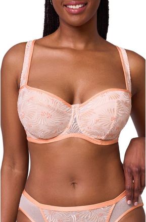 Montelle Intimates Tangerine Dream Embroidered Underwire Balconette Bra in Champagne/tangerine at Nordstrom, Size 32G