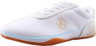 Generic Martial Arts Taewondo Shoes, Breathable Unisex Sports Boxing Karate Kung Fu Tai Chi for Children Teenager Adults(White,10.5 UK Child)