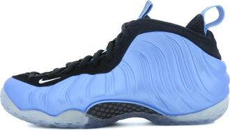 Nike Air Foamposite One University Blue 314996-402