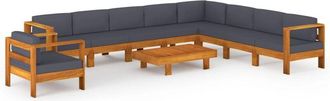 vidaXL Vidaxl - Muebles De Jard&iacute;n 10 Pzas Con Cojines Madera Acacia Gris Oscuro