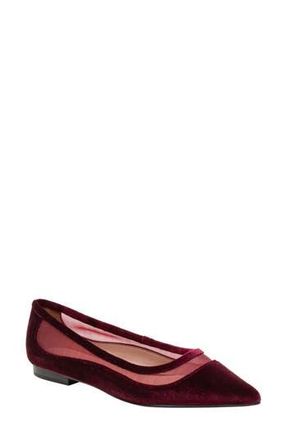 Linea Paolo Novah Pointed Toe Flat in Burgundy at Nordstrom Rack, Size 8.5