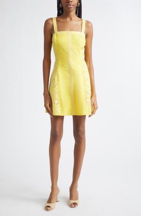 Ramy Brook Fawn Eyelet Embroidery Minidress in Sunshine at Nordstrom, Size 10