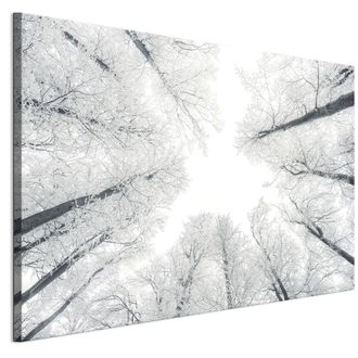 OEM Cuadro Sobre Lienzo Italiano De 90 X 60 Cm - Estilo Escandinavo - Naturaleza Cuadro Sobre Lienzo Italiano De 120 X 80 Cm - Estilo Escandinavo - Natura