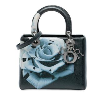 Dior Pre-owned Dior Medium Deerskin Floral Print Lady Dior Ladies 17-BO-0154