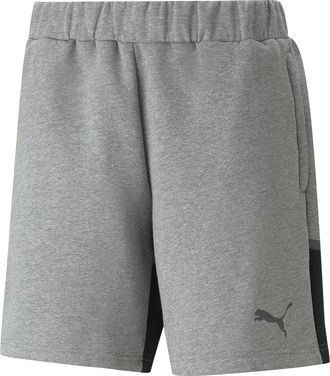 Puma Heren Teamcup Voetbalshorts (Medium Grijs)
